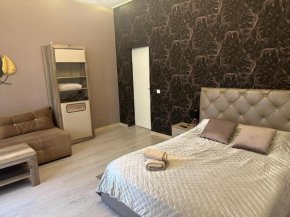 Mystic Dream House Brasov Braşov